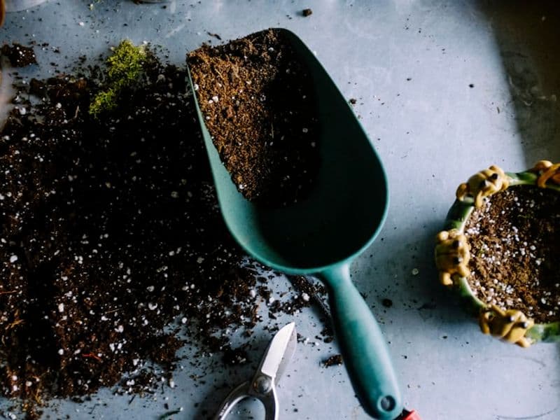 Χώματα & Υποστρώματα