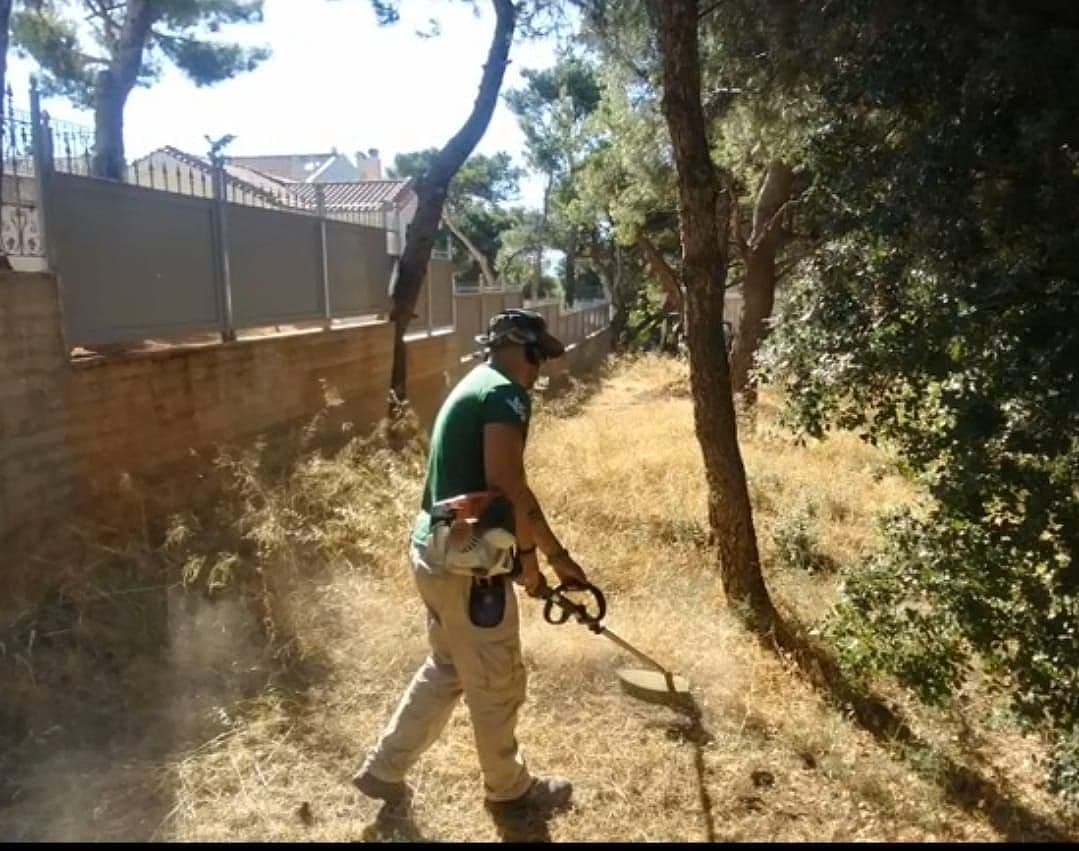 Καθαρισμός και αποψίλωση οικοπέδου από χόρτα και κλαδιά