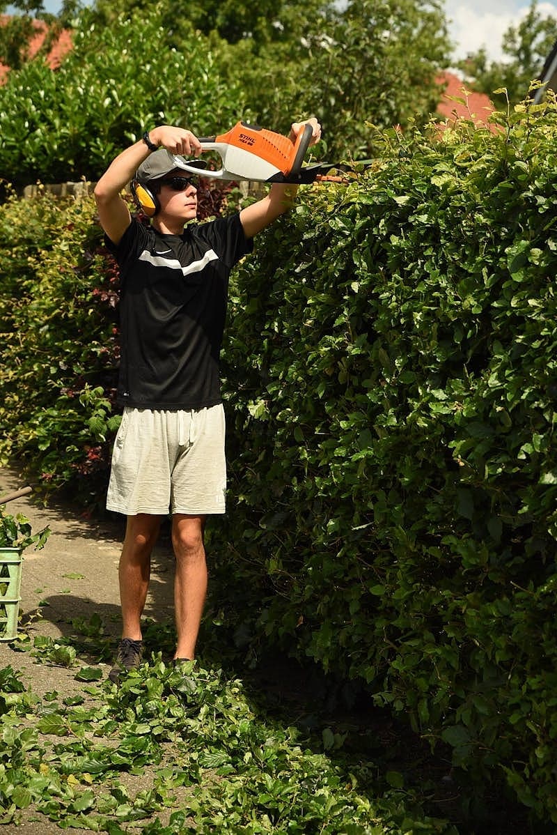 Επαγγελματικό κλάδεμα δέντρου με εξειδικευμένο εργαλείο